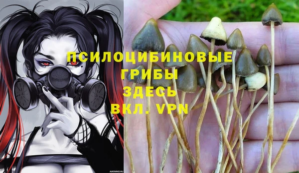 шишки Алзамай