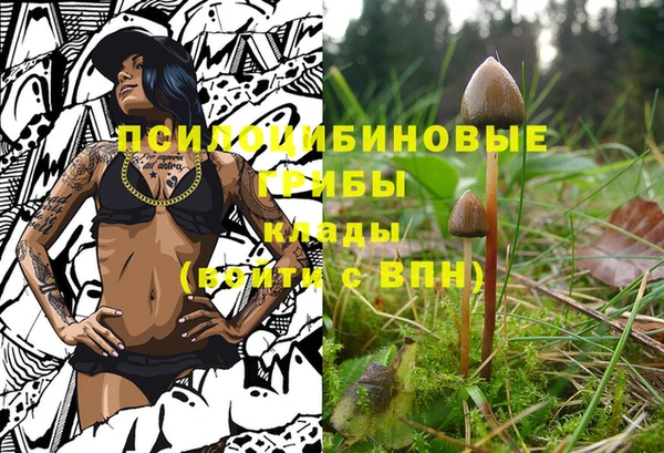 стаф Алексеевка