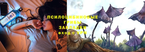 шишки Алзамай