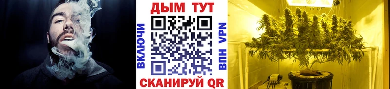 Каннабис Bruce Banner  Усть-Джегута 